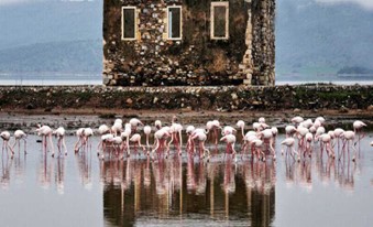 Ege Bölgesi ve Muğla Turistik Alanlar Haritası